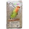Agapornides - Ornibird, Mélange Pour Inséparables 20kg -Oiseaux De Compagnie agapornides ornibird melange pour inseparables 20kg 700129 private label ornibird melange de graines pour agapornides inseparabl