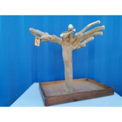 Aire De Jeux En Bois De Java Avec Socle - Medium - Back Zoo Nature 12 Aire De Jeux En Bois De Java Avec Socle - Medium - Back Zoo Nature -Oiseaux De Compagnie aire de jeux en bois de java avec socle medium back zoo nature zf1113 back zoo nature aire de jeux en bois de java avec socle et 3