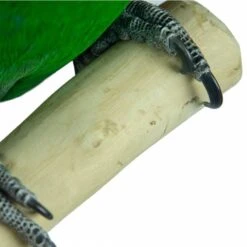 Aire De Jeux En Bois De Java Avec Socle - Small - Back Zoo Nature -Oiseaux De Compagnie aire de jeux en bois de java avec socle small back zoo nature zf1112 back zoo nature aire de jeux en bois de java avec socle et 1 6