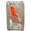 Alpiste Ou Millet Plat 20kg - Ornibird -Oiseaux De Compagnie alpiste ou millet plat 20kg ornibird 700135 private label ornibird lalpiste est une graminee plante annuelle pouvant atteindre 1