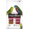 B14 Granulés Extrudés - Aliment D'entretien Pour Perruches Ondulées Et Autres Petites Perruches 3kg - Nutribird -Oiseaux De Compagnie b14 granules extrudes aliment dentretien pour perruches ondulees et autres petites perruches 3kg nutribird 422102 nutribird gran