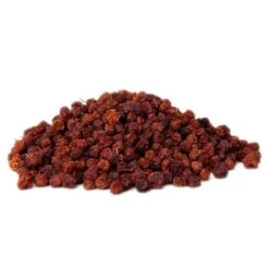 Baie De Sorbier Des Oiseleurs Au Kg - Ornibird 8 Baie De Sorbier Des Oiseleurs Au Kg - Ornibird -Oiseaux De Compagnie baie de sorbier des oiseleurs au kg ornibird 103041250 kg grizo baie du sorbier en fruit seche dont les becs crochus indigenes e 2