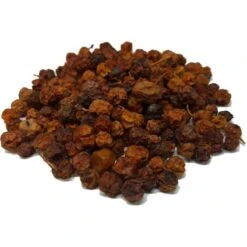 Baie De Sorbier Des Oiseleurs Au Kg - Ornibird 9 Baie De Sorbier Des Oiseleurs Au Kg - Ornibird -Oiseaux De Compagnie baie de sorbier des oiseleurs au kg ornibird 103041250 kg grizo baie du sorbier en fruit seche dont les becs crochus indigenes e 3