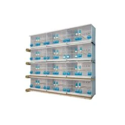 Batteries De 12 Cages 58x30x36 - New Canariz