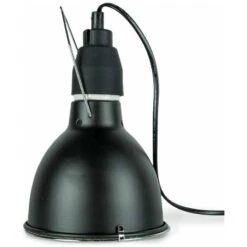 Bird Sun UV-Lamp System - Back Zoo Nature 10 Bird Sun UV-Lamp System - Back Zoo Nature -Oiseaux De Compagnie bird sun uv lamp system back zoo nature zf7750 back zoo nature eclairage uv professionnel de back zoo nature pour oiseaux la lam 3