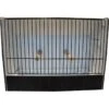 Cage Exposition Caille Noir En PVC -Oiseaux De Compagnie cage exposition caille noir en pvc 87212611 ost belgium cage dexposition pour caille avec facade noire entierement en plastique