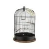 Cage "Retro" Lisette Diam.35cm -Oiseaux De Compagnie cage retro lisette diam35cm 104860 zolux cage retro lisetteune cage vintage pour les oiseaux crochet de suspension en metal plat