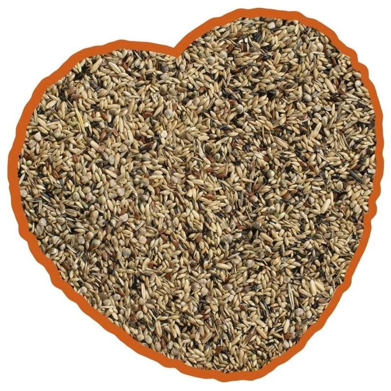 Canari De Posture Mix 20kg - Duvo+ 4 Canari De Posture Mix 20kg - Duvo+ – Image 2