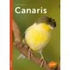 Canaris - Renaud LACROIX -Oiseaux De Compagnie canaris renaud lacroix 1389384 ulmer canarisrenaud lacroix100 illustrations 160 pagesisbn 9782841389384annee dedition 2018sa viv