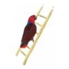 Echelle Bois 60cm - Back Zoo Nature -Oiseaux De Compagnie echelle bois 60cm back zoo nature zf1122 back zoo nature lechelle java back zoo nature est une echelle 100 naturelle sur laquell