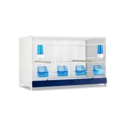 Ensemble De 4 Cages 60x33x33cm Avec Chariot ART.90 - Modèle Einstein - Italgabbie -Oiseaux De Compagnie ensemble de 4 cages 60x33x33cm avec chariot art90 modele einstein italgabbie art90 4 t italgabbie ensemble de 4 cages a tiroirs 1 2