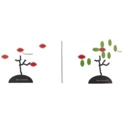 Flora+ 250gr - Deli Nature 6 Flora+ 250gr - Deli Nature -Oiseaux De Compagnie flora 250gr deli nature 023067 deli nature flora est un stabilisateur intestinal avec un effet probiotique developpe grace a une 1