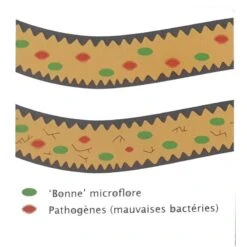 Flora+ 250gr - Deli Nature 7 Flora+ 250gr - Deli Nature -Oiseaux De Compagnie flora 250gr deli nature 023067 deli nature flora est un stabilisateur intestinal avec un effet probiotique developpe grace a une 2