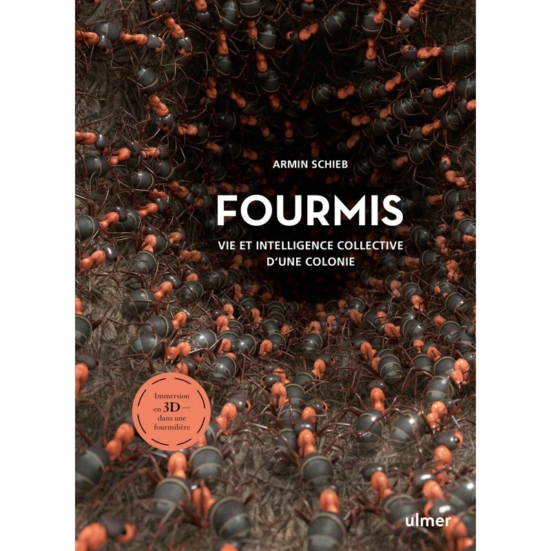 Fourmis - Armin SCHIEB 3 Fourmis - Armin SCHIEB