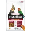 G14 Tropical Granulés Extrudés - Aliment D'entretien Pour Grandes Perruches 3kg - Nutribird -Oiseaux De Compagnie g14 tropical granules extrudes aliment dentretien pour grandes perruches 3kg nutribird 422116 nutribird granules extrudes alimen