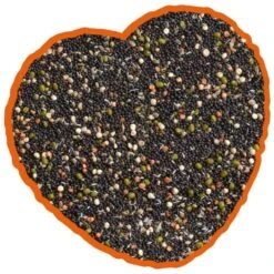 Graines De Germination Mix 20kg - Duvo+ -Oiseaux De Compagnie graines de germination mix 20kg duvo 12306 duvo specifications alimentation delicieuse et equilibree pleine de graines nutritive 1