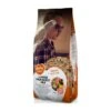 Grand Perruche Mix 20kg - Duvo+ -Oiseaux De Compagnie grand perruche mix 20kg duvo 12309 duvo specifications alimentation delicieuse et equilibree pleine de graines nutritives convie