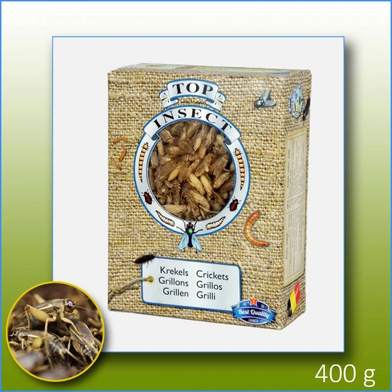 Grillons (insectes Congelés) 400gr - Top Insect 4 Grillons (insectes Congelés) 400gr - Top Insect – Image 2