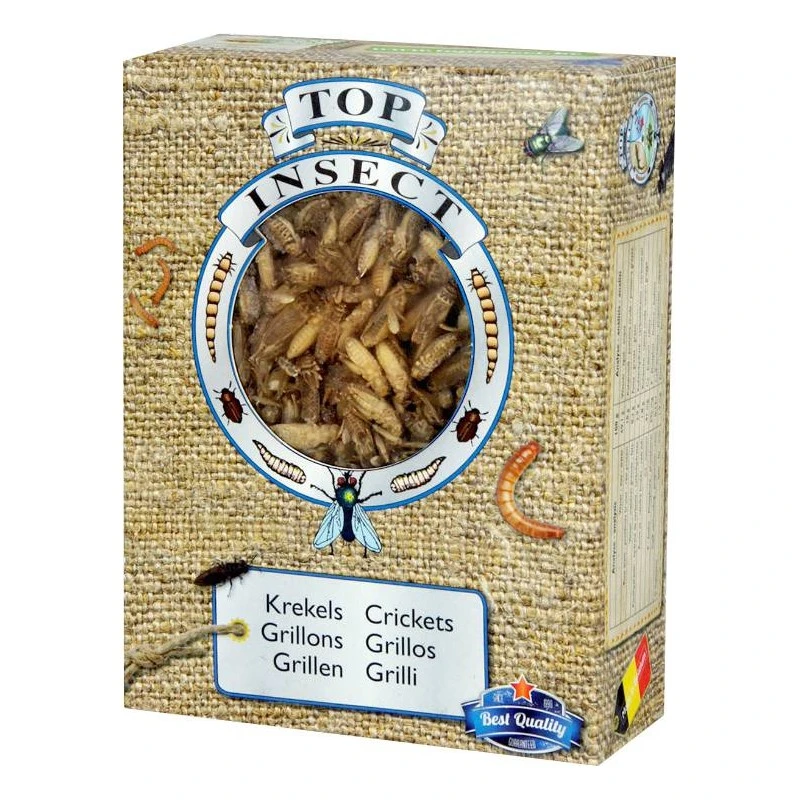 Grillons (insectes Congelés) 400gr - Top Insect 3 Grillons (insectes Congelés) 400gr - Top Insect