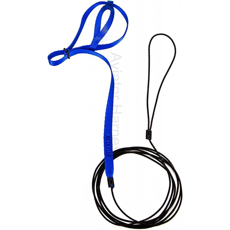 Harnais Pour Perroquet AVIATOR Mini Bleu 4 Harnais Pour Perroquet AVIATOR Mini Bleu – Image 2