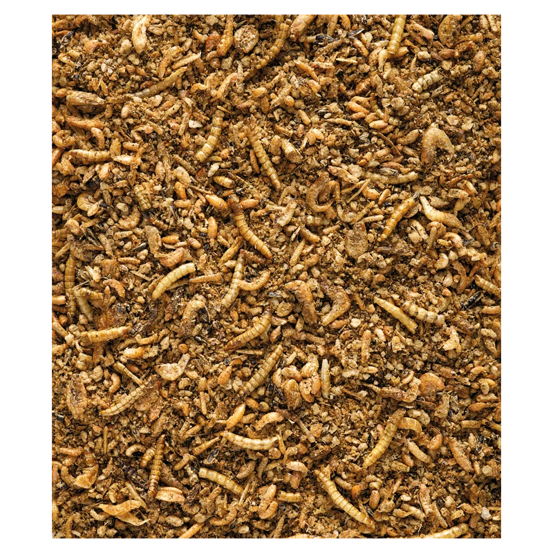 Insect Patée Premium Aliment Complet Pour Oiseaux Insectivores 2kg - Nutribird 4 Insect Patée Premium Aliment Complet Pour Oiseaux Insectivores 2kg - Nutribird – Image 2