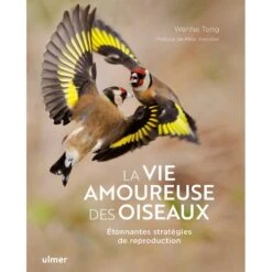 La Vie Amoureuse Des Oiseaux Étonnantes Stratégies De Reproduction - Wenfei TONG& Mike WEBSTER