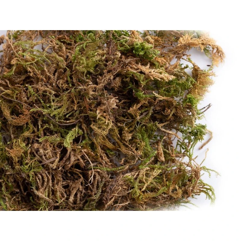 Mousse 6 Litres - Sisal Fibre 3 Mousse 6 Litres - Sisal Fibre