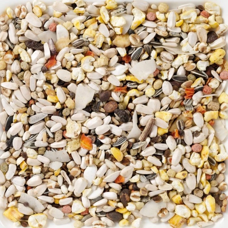 N°64 Perroquets Supreme Fruit 15kg - Deli Nature 4 N°64 Perroquets Supreme Fruit 15kg - Deli Nature – Image 2