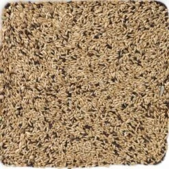 Oiseaux De Compagnie -Oiseaux De Compagnie n65 canaris light 20kg deli nature 006365 deli nature est un melange de regime ideal avec 85 dalpiste pour permettre une meilleu 1