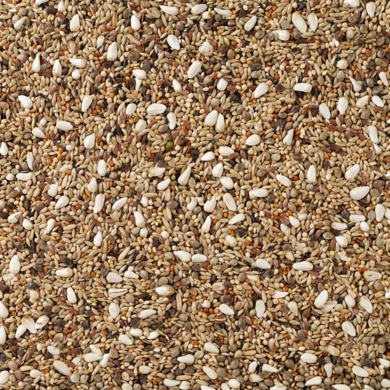 N°72 Agapornis Champion 20kg - Deli Nature 4 N°72 Agapornis Champion 20kg - Deli Nature – Image 2