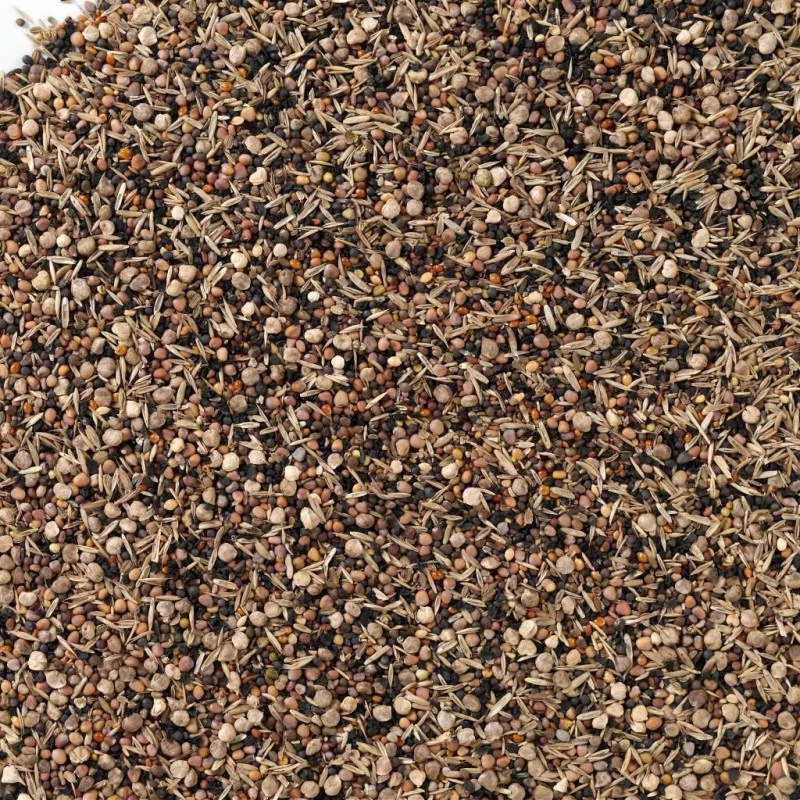 N°93 Graines De Santé Supreme 15kg - Deli Nature 4 N°93 Graines De Santé Supreme 15kg - Deli Nature – Image 2