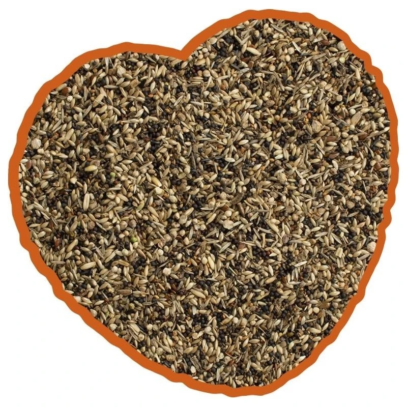 Oiseau Indigène Mix 20kg - Duvo+ 4 Oiseau Indigène Mix 20kg - Duvo+ – Image 2