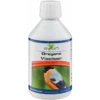 Oregano Vloeibaar / Oregano Liquid 250ml - Avian 1 Oregano Vloeibaar / Oregano Liquid 250ml - Avian -Oiseaux De Compagnie oregano vloeibaar oregano liquid 250ml avian 11397 avian avian liquide dorigan est un aliment complementaire pour les oiseaux on