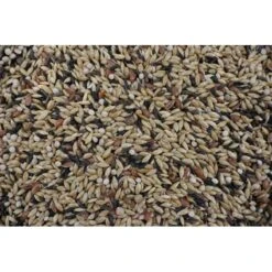 Oiseaux De Compagnie -Oiseaux De Compagnie ornibird canaris pro digest 20kg melange haute qualite pour canaris 700126 deli nature nouveau melange ornibird lance son premie 1