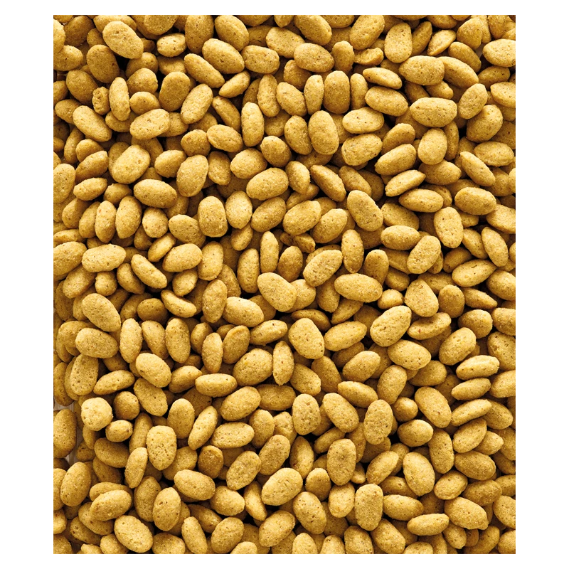 P19 Original Granulés Extrudés - Aliment D'élevage Pour Perroquets 10kg - Nutribird 4 P19 Original Granulés Extrudés - Aliment D'élevage Pour Perroquets 10kg - Nutribird – Image 2