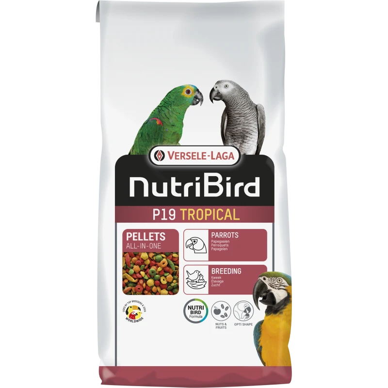 P19 Tropical Granulés Extrudés - Aliment D'élevage Pour Perroquets 10kg - Nutribird 3 P19 Tropical Granulés Extrudés - Aliment D'élevage Pour Perroquets 10kg - Nutribird