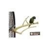 Perchoir Java Multi Perchoirs Premium 30cm Small - Back Zoo Nature 2 Perchoir Java Multi Perchoirs Premium 30cm Small - Back Zoo Nature -Oiseaux De Compagnie perchoir java multi perchoirs premium 30cm small back zoo nature zf1004 back zoo nature perchoir java multi perchoirs premium 30