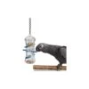 Push And Pull - Pousser Et Tirer 35,5cm - Avonturia -Oiseaux De Compagnie push and pull pousser et tirer 355cm avonturia ca00753 back zoo nature push and pull pousser et tirerremplissez le dessus avec l