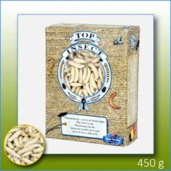 Teignes De Ruches (insectes Congelés) 450gr - Top Insect -Oiseaux De Compagnie teignes de ruches insectes congeles 450gr top insect topins teigne nusect top insect les teignes de ruches etant des produits co 1