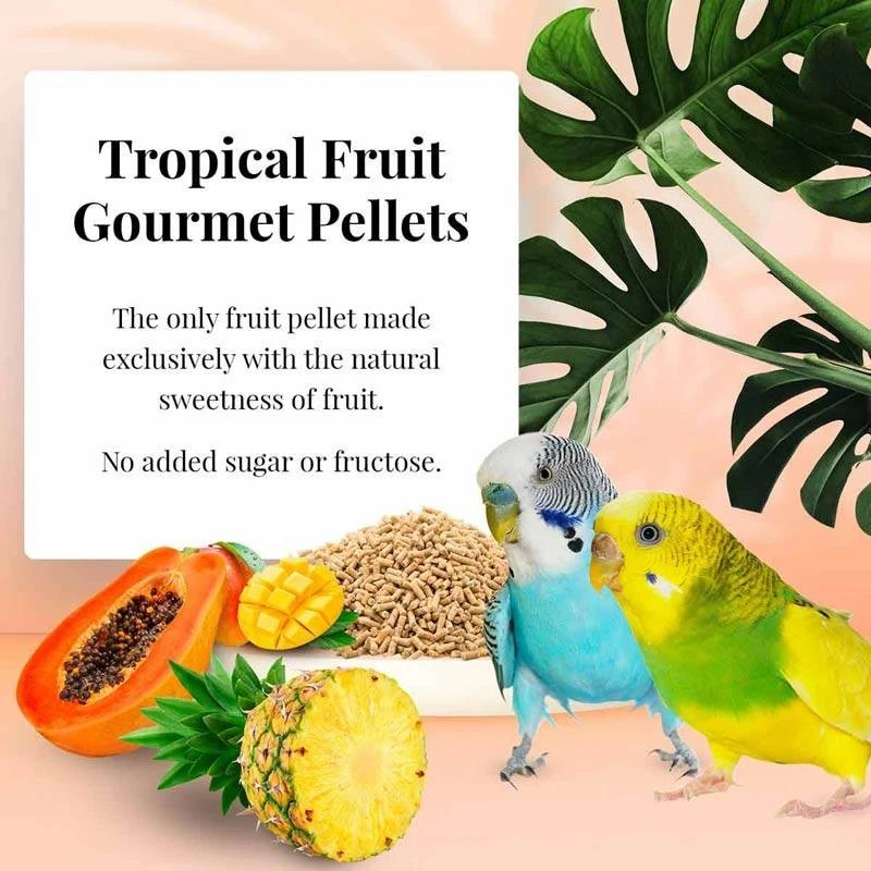 Tropical Fruit Gourmet Pellets Perruche 1,8kg - Lafeber's 4 Tropical Fruit Gourmet Pellets Perruche 1,8kg - Lafeber's – Image 2
