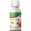 Vitamina B+K - Aliment Complémentaire 1L - Avianvet 2 Vitamina B+K - Aliment Complémentaire 1L - Avianvet -Oiseaux De Compagnie vitamina b k aliment complementaire 1l avianvet 25967 avianvet vitamin b k avianvet est un aliment complementaire pour oiseaux r