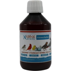 Vitinocholine Liquide 250ml - Idéal Nutricare