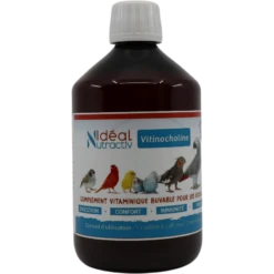 Vitinocholine Liquide 500ml - Idéal Nutricare