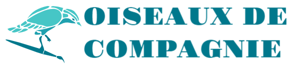 Oiseaux De Compagnie